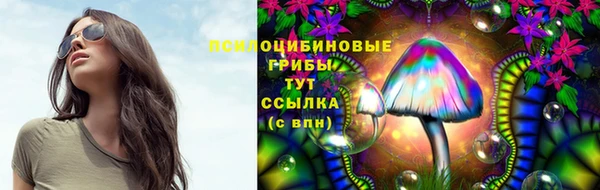 2c-b Краснотурьинск