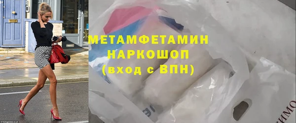 трава Корсаков