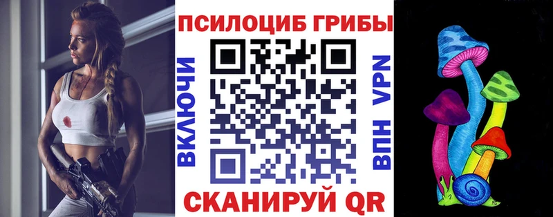 ссылка на мегу зеркало  Ливны  Псилоцибиновые грибы Psilocybine cubensis 